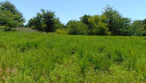 tbd Peach Creek Road, Fanshawe, OK 74935