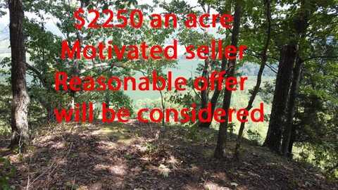 4200 Levelwoods Rd, Campbellsville, KY 42718
