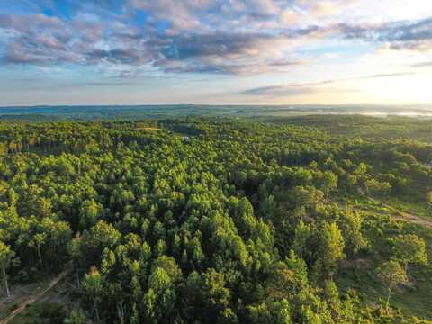 046.08 Roy Dean Road, Buchanan, GA 30113