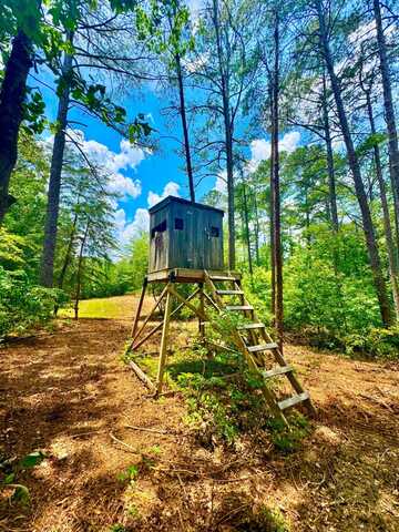0 County Road 2, Double Springs, AL 35553