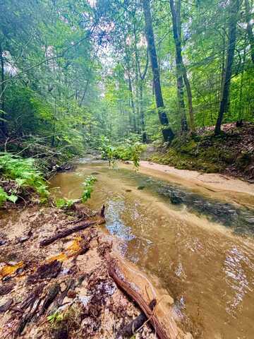 0 Highway 195, Ashridge, AL 35553