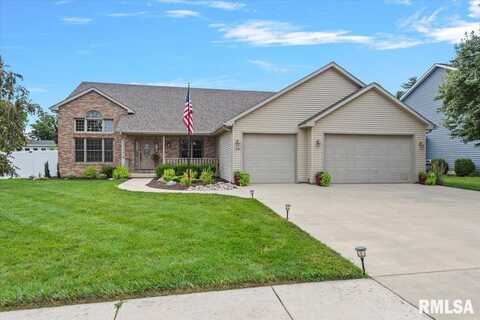 228 Manor Hill Drive, Chatham, IL 62629