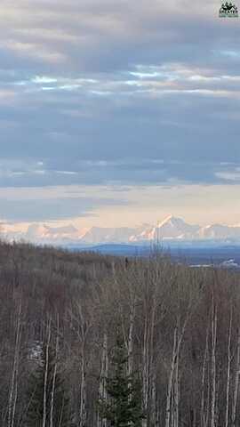 NHN ASPEN HEIGHTS DRIVE, Fairbanks, AK 99709