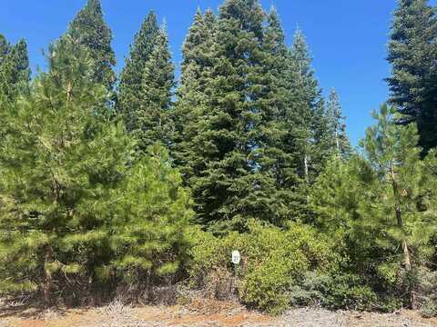 108 Silver Pine Road, Lake Almanor, CA 96137