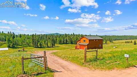 428 Ridge Drive, Divide, CO 80814