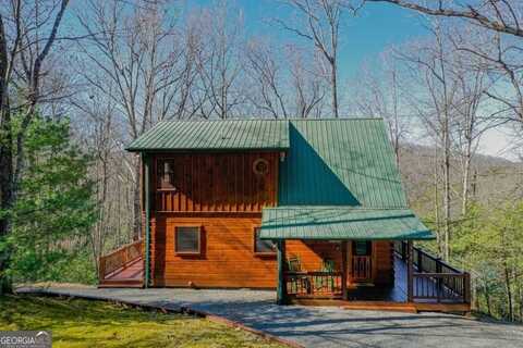 348 The Forest Has Eyes, Blue Ridge, GA 30513