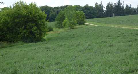 TBD W Council Hill, GALENA, IL 61036