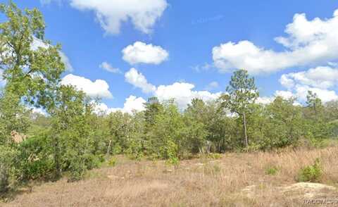 2 Smilax Court S, Homosassa, FL 34446
