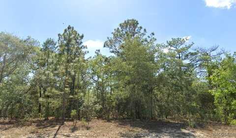 7932 N Elkcam Boulevard, Citrus Springs, FL 34433