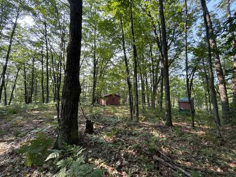 942 N 47 1/2 Road, Manton, MI 49663