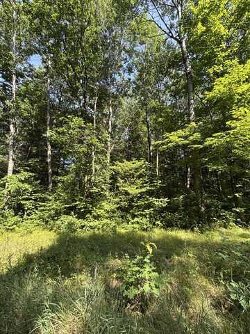 3628 Indian Trail Crossing, Hersey, MI 49639