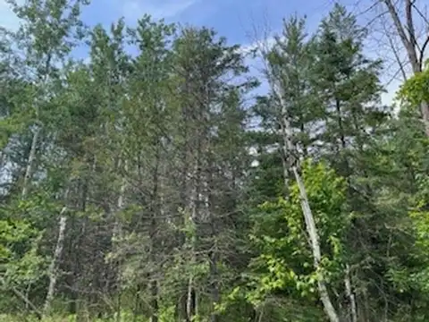 IDLEWILD WOODS Drive, STURGEON BAY, WI 54235