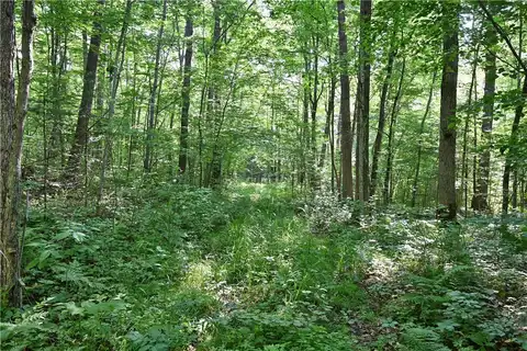 80 Acres 240th Street, Cornell, WI 54732