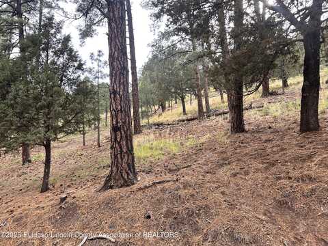 Lot 44 Alto Drive, Alto, NM 88312