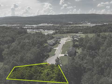 250 Mockingbird Lane, Dayton, TN 37321