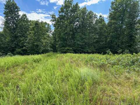 0 County Road 444, Redford, MO 63665
