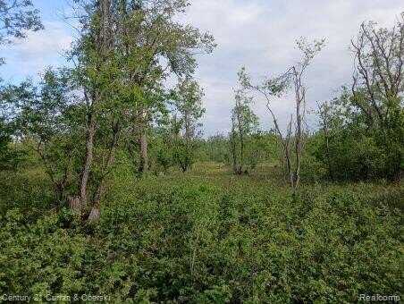 0000 Finnegan Rd,, Chester, MI 49751