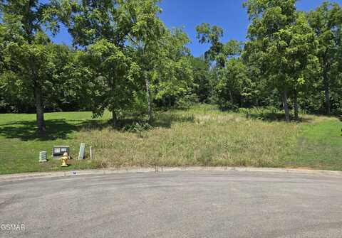 Lot 5 Morningside Lane, Dandridge, TN 37725