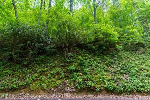 Lot 11 Zurich Road, Gatlinburg, TN 37738
