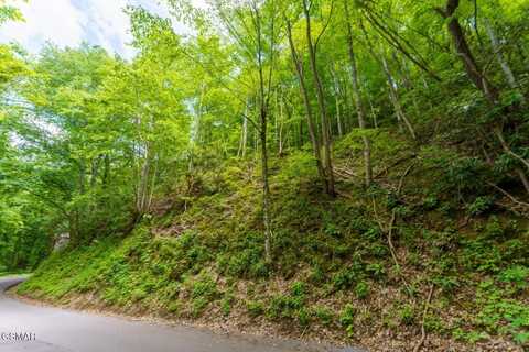 Lot 12 Zurich Road, Gatlinburg, TN 37738