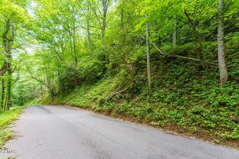 Lot 9 Zurich Road, Gatlinburg, TN 37738