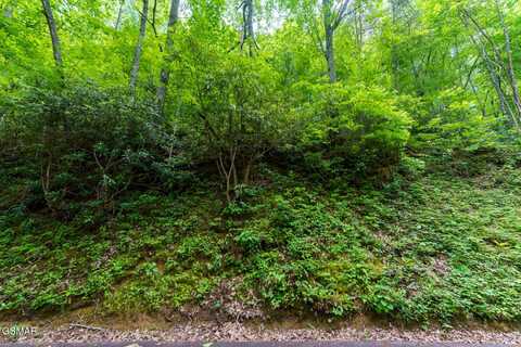 Lot 10 Zurich Road, Gatlinburg, TN 37738