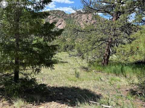 1455 Durfee Circle, Westcliffe, CO 81252