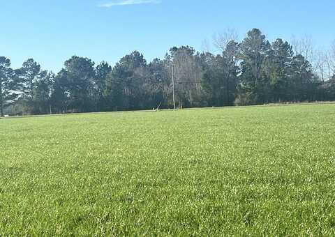 00 Morriston Rd., Petal, MS 39465