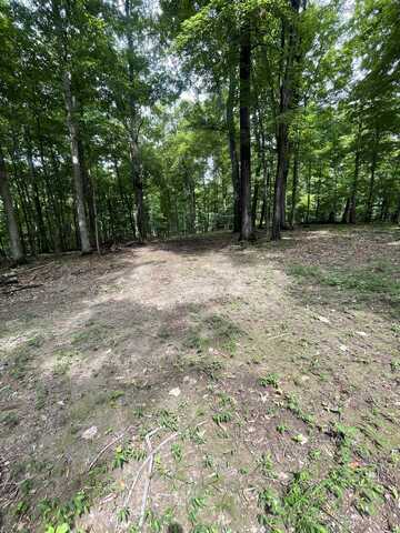 Lot 1 Moore Road, Lavalette, WV 25535