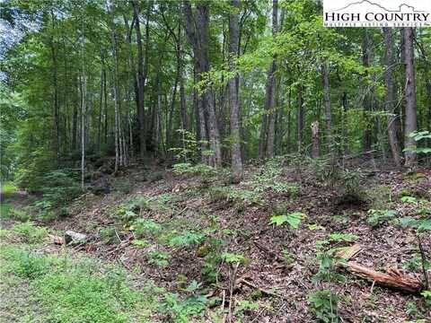 Tbd Red Clover, Beech Mountain, NC 28604