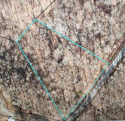 Lot 46 Quail Ridge Rd, CADIZ, KY 42211