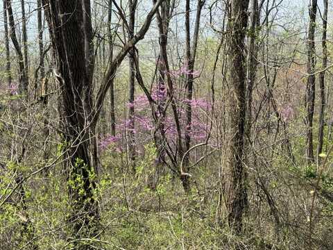 Lot 1 & 2 Murray Hollow RD, Thaxton, VA 24174