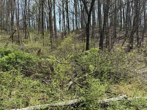 Lot 3 & 4 Murray Hollow RD, Thaxton, VA 24174