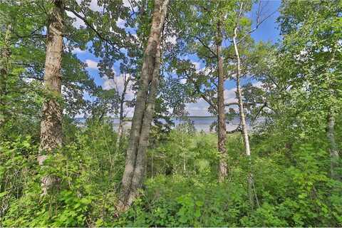 Tbd Pine Mountain Lake Road NW, Backus, MN 56435