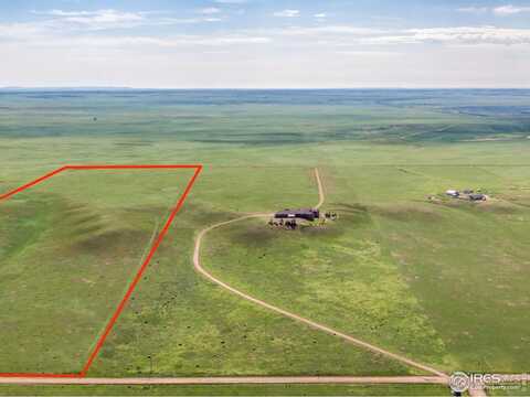 20560 Cattle Dr, Wellington, CO 80549