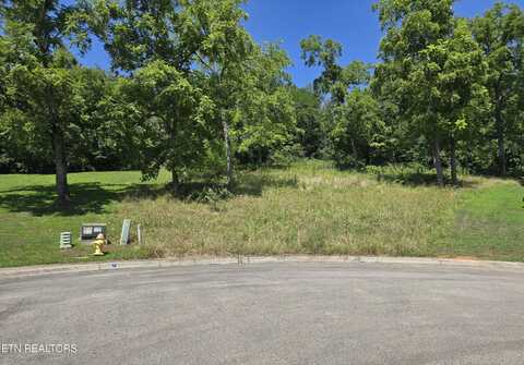 Morningside Lane, Dandridge, TN 37725