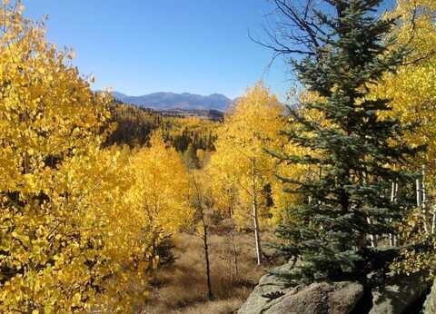 204 STRONGBOX COURT, Jefferson, CO 80456