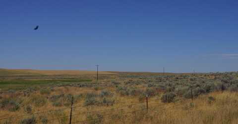 Nka Coal Sprigs Rd, Harrington, WA 99134