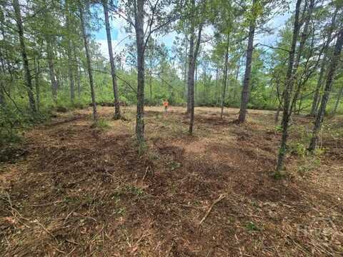 0 Savannah Town Road, Springfield, GA 31329