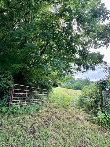 3647 Kenyon, Parrottsville, TN 37843