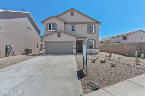 3161 Echinacea Lane, Las Cruces, NM 88001