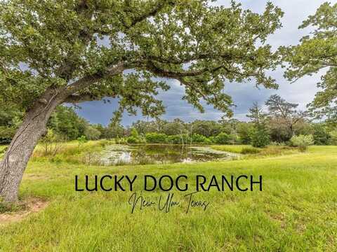 1126 Abel Road, New Ulm, TX 78950