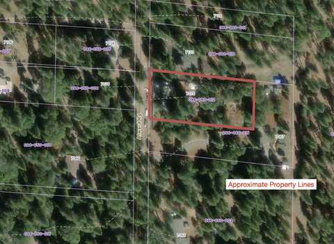 7075 Alward Way, Shingletown, CA 96088