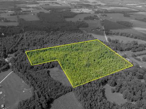 351 Co Rd 93, Anderson, AL 35610