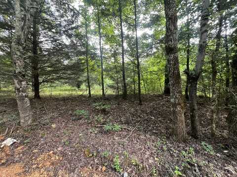 0 Co Rd 521, Anderson, AL 35610