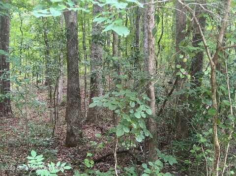 Lot 48 Turtle Ln, Dadeville, AL 36853