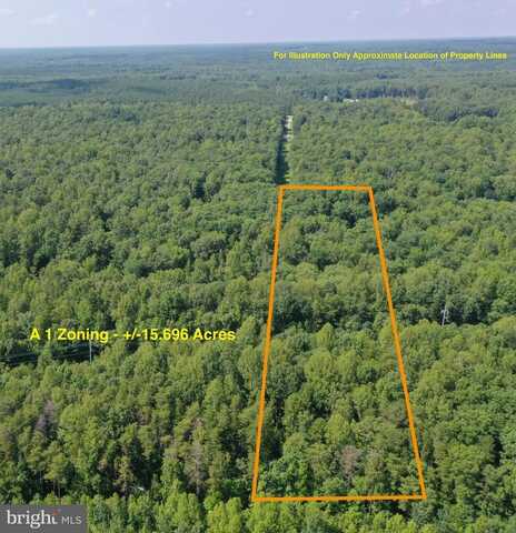 LOT 1 - WARDS FOREST AVE, BEAVERDAM, VA 23015