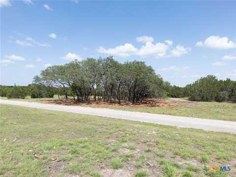 Tbd CR 206, Burnet, TX 78611