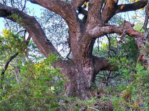 Tbd CR 206, Burnet, TX 78611