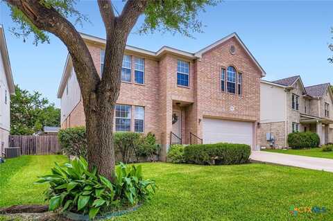 3809 Tailfeather Drive, Round Rock, TX 78681